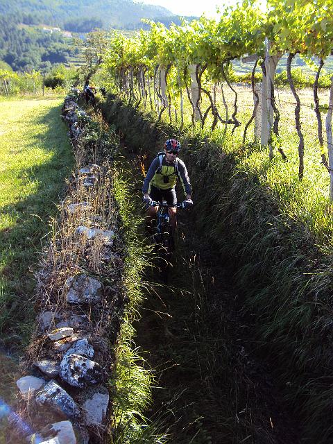200-Pelo caminho certo.jpg